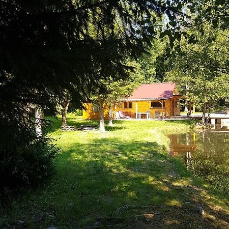 Insolite Chalet De Peche Serenite - Bien Etre Ban-sur-Meurthe-Clefcy Exterior photo
