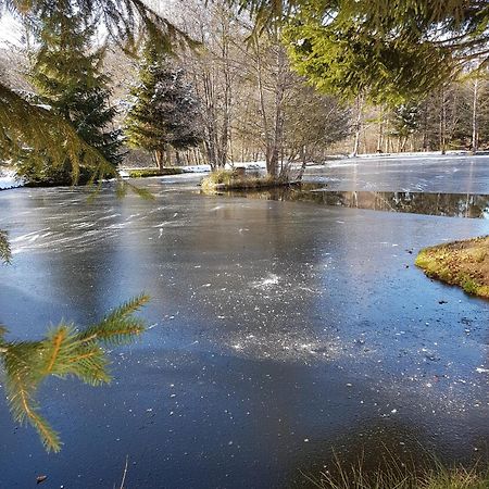 Insolite Chalet De Peche Serenite - Bien Etre Ban-sur-Meurthe-Clefcy Exterior photo