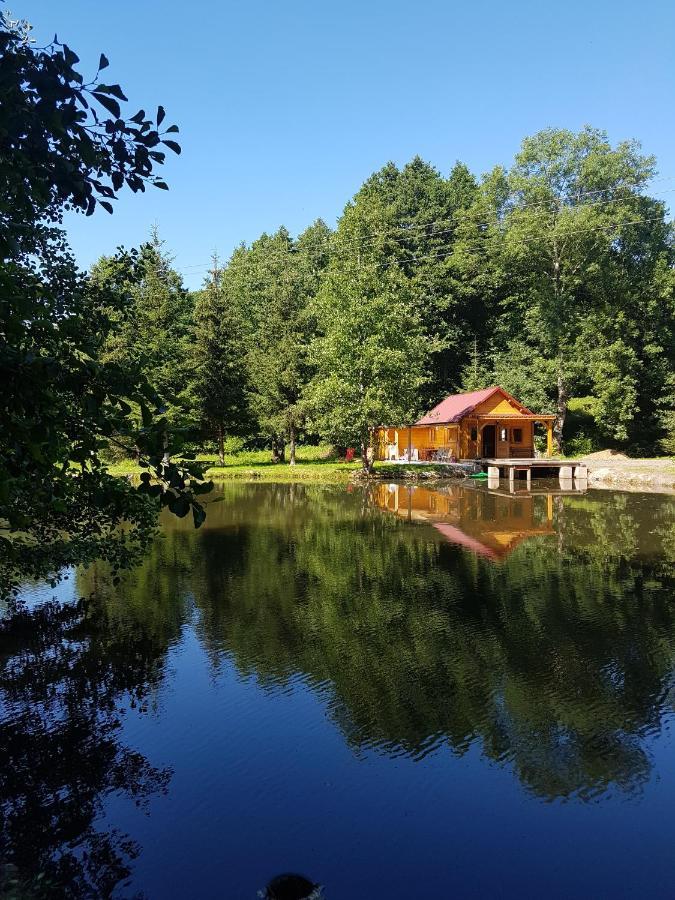 Insolite Chalet De Peche Serenite - Bien Etre Ban-sur-Meurthe-Clefcy Exterior photo