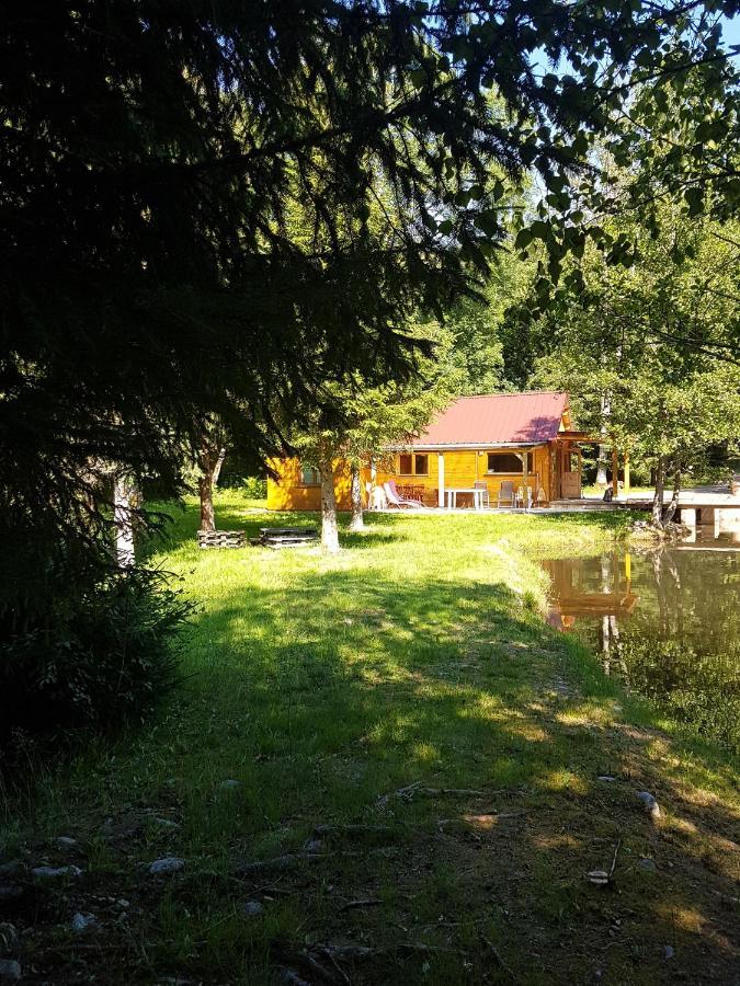 Insolite Chalet De Peche Serenite - Bien Etre Ban-sur-Meurthe-Clefcy Exterior photo