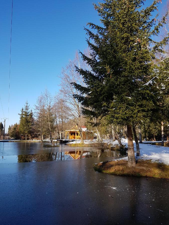 Insolite Chalet De Peche Serenite - Bien Etre Ban-sur-Meurthe-Clefcy Exterior photo