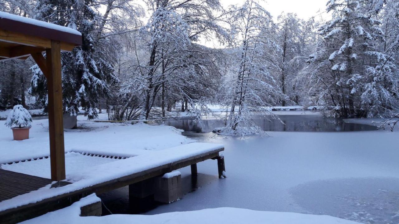 Insolite Chalet De Peche Serenite - Bien Etre Ban-sur-Meurthe-Clefcy Exterior photo