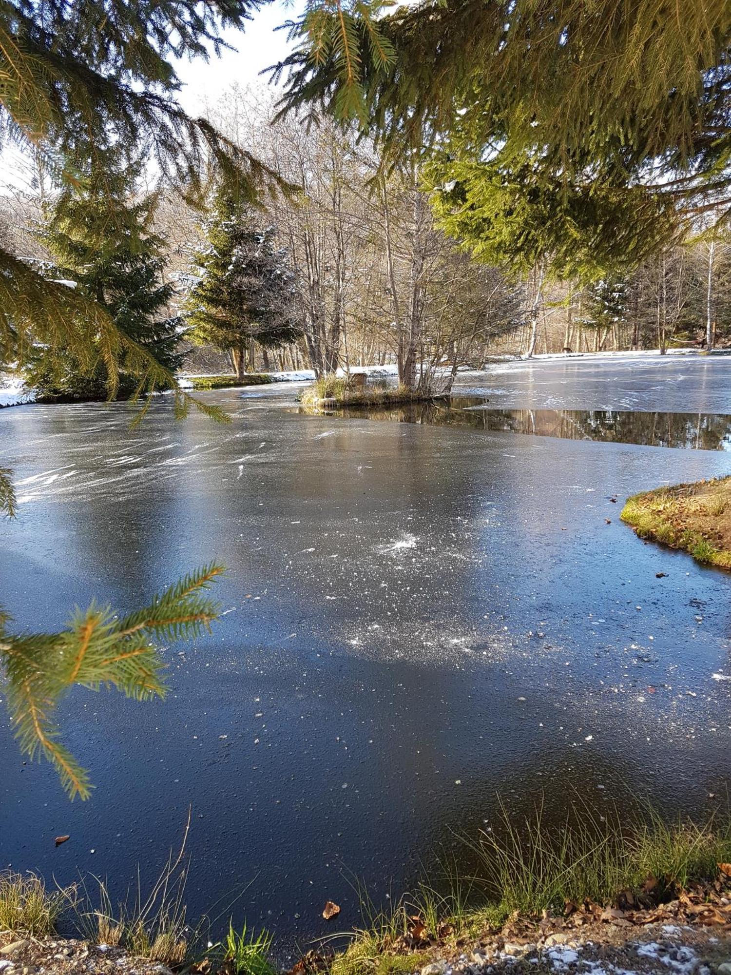 Insolite Chalet De Peche Serenite - Bien Etre Ban-sur-Meurthe-Clefcy Exterior photo