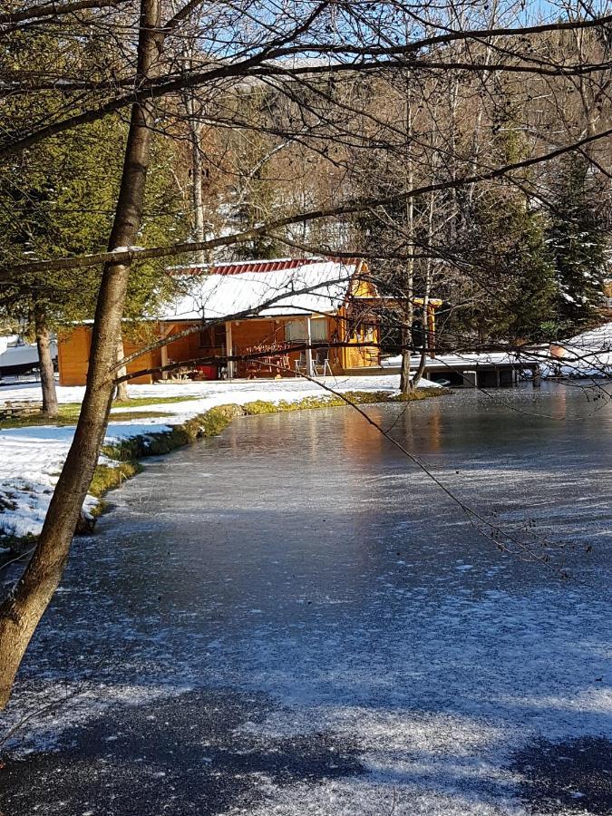 Insolite Chalet De Peche Serenite - Bien Etre Ban-sur-Meurthe-Clefcy Exterior photo