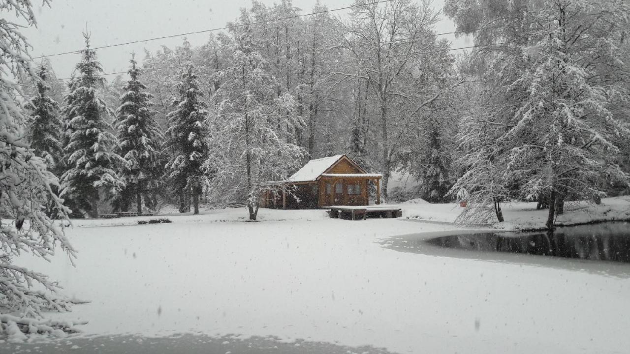 Insolite Chalet De Peche Serenite - Bien Etre Ban-sur-Meurthe-Clefcy Exterior photo