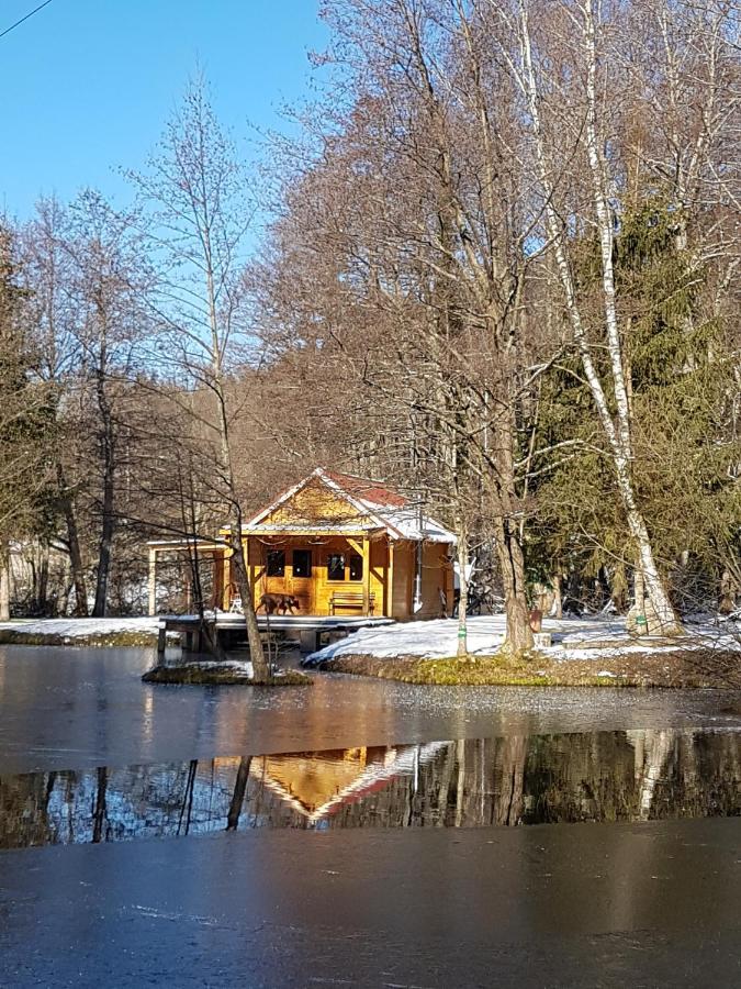 Insolite Chalet De Peche Serenite - Bien Etre Ban-sur-Meurthe-Clefcy Exterior photo