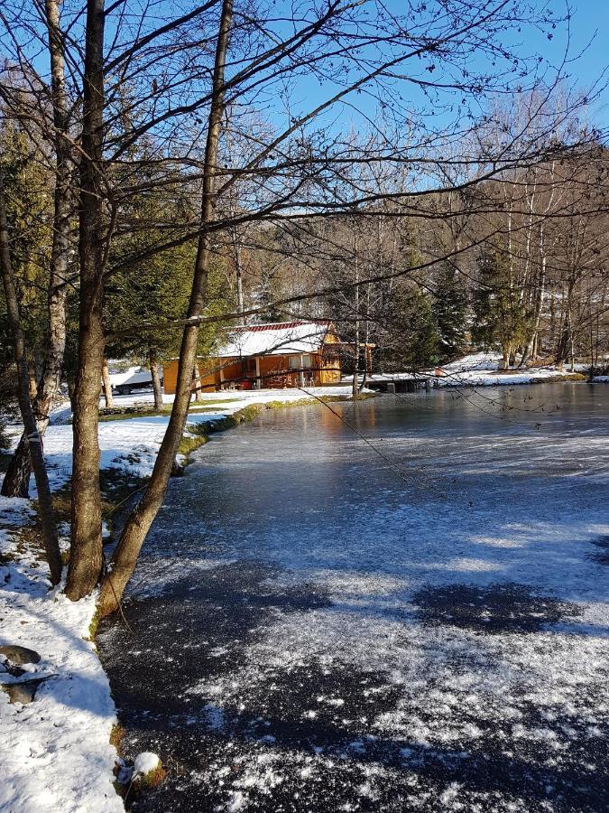 Insolite Chalet De Peche Serenite - Bien Etre Ban-sur-Meurthe-Clefcy Exterior photo