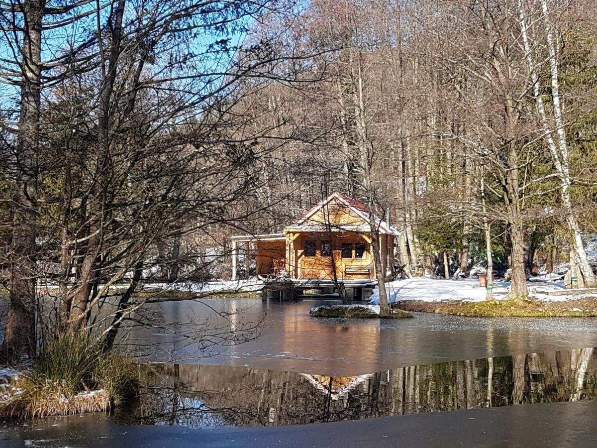 Insolite Chalet De Peche Serenite - Bien Etre Ban-sur-Meurthe-Clefcy Exterior photo